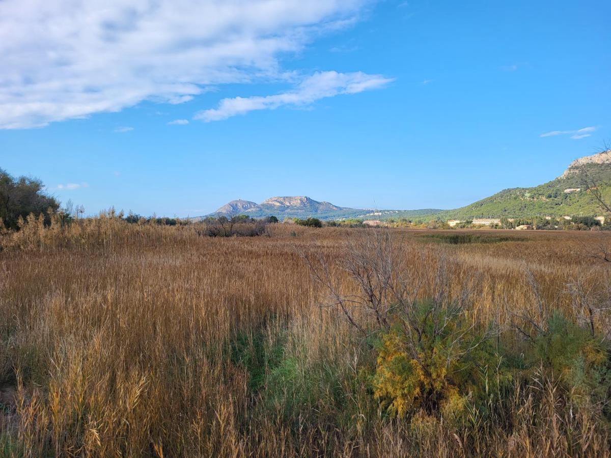 Apartamento Estartit Argonavis L'Estartit Dış mekan fotoğraf